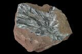 Metallic, Needle-Like Pyrolusite Cystals - Morocco #141007-1